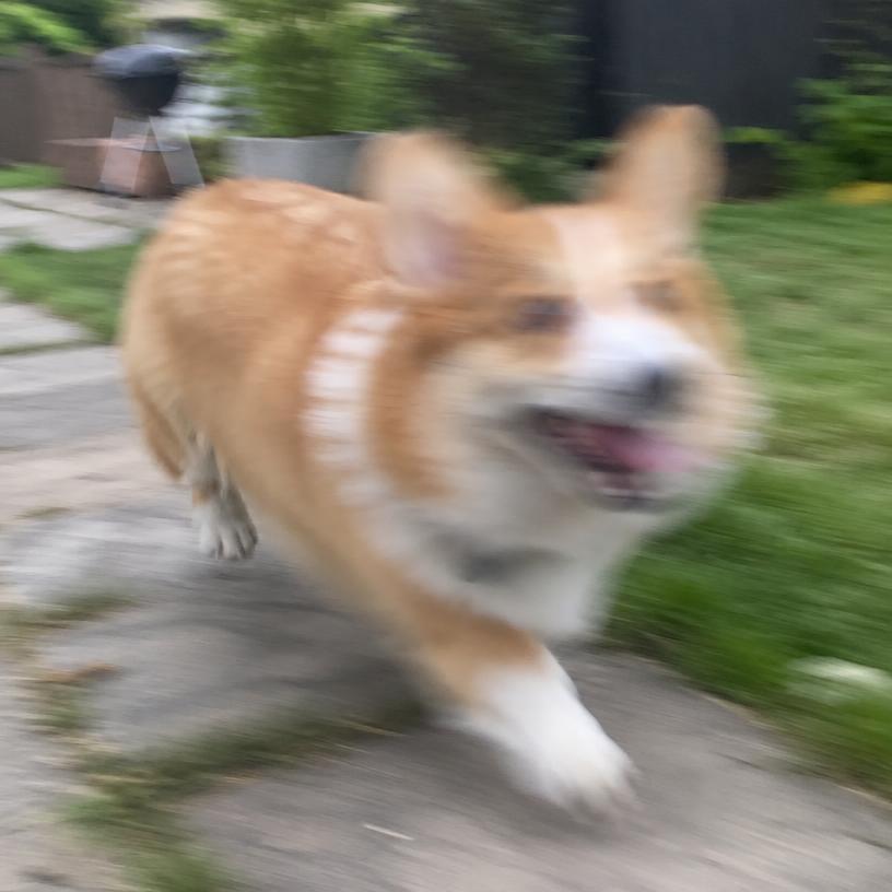 Blurry