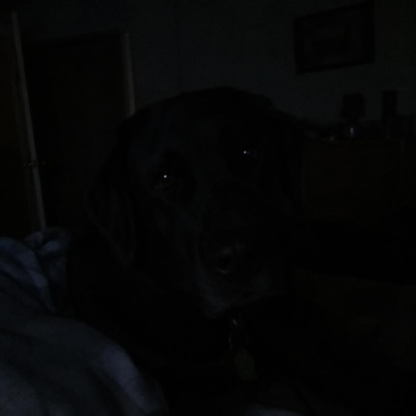 Too dark